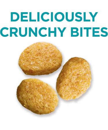 Purina ONE Smartblend Dog Food (Turkey & Venison 6.8 kg) + Purina ONE Cat Food (Urinary Tract Health 1.8 kg) Dog Food+ Dry Cat Food Turkey & Venison 6.8 kg (Pack of 1) - Buy Online on GoSupps.com