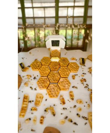 Honey Hive Tumeric Soap Hydrating Aloe Vera and Sea Moss Base Vitamins and Minerals 1 Count (Pack of 1)