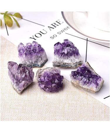 1PC Natural Amethyst Cluster Quartz Raw sStone Decoration Ornament Purple Feng Shui Stone Ore Crafts (Color : Random Delivery Size : 1PC) ningxiao 1PC Random Delivery - Buy Online on GoSupps.com