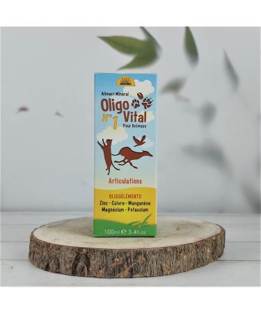 Bioligo Oligovital No. 1 Pain and Joint Pain (100 ml / 200 ml / 500 ml / 1 L) Capacity 500 ml - Buy Online on GoSupps.com