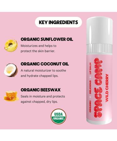 Buy Space Camp Wellness Jumbo Lip Balm - Wild Cherry Organic Flavored Balm (2 Pack) | International Shipping Available - Buy Online on GoSupps.com