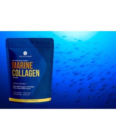 Antler Farms - 100% Pure Clean Marine Collagen Powder from Wild Caught Pacific Snapper 12 oz Soluble in Hot or Cold Liquids Highly Bioavailable Rapid Absorption No Taste or Smell - Buy Online on GoSupps.com