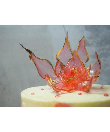 GustoIntenso Isomalt Sugar Crystalline Sugar Substitute for Pastry Decoration Sweets & Ice Cream 2000g - Buy Online on GoSupps.com