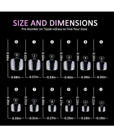 240pc Clear Full Cover Short Square Gel X Toenail Tips - False Toe Pedicure Design for Gel/Acrylic Toe Nails Extension - Buy Online on GoSupps.com