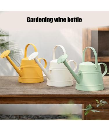 Arrosoir ergonomique pour plantes - Longue port e - Poign e antid rapante - Pour pots profonds - Bo tes de fen tre d'int rieur Cr me Blanc - Buy Online on GoSupps.com