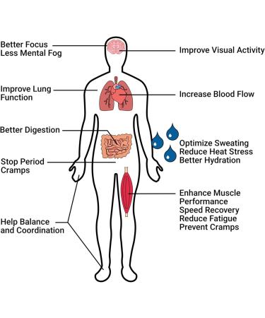 Krampade High Potassium Electrolytes Powder Reduced Sugar Lemon Lime 4180mg Electrolytes 2000mg Potassium Cramp Relief & Prevention Cellular Hydration Better Endurance & Recovery 19 Servings - Buy Online on GoSupps.com