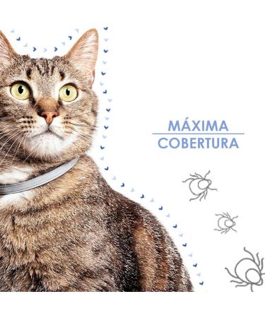 Parasital Anti-Parasite Collar for Cats & Small Dogs - 35 cm | Effective Flea & Tick Protection - Buy Online on GoSupps.com