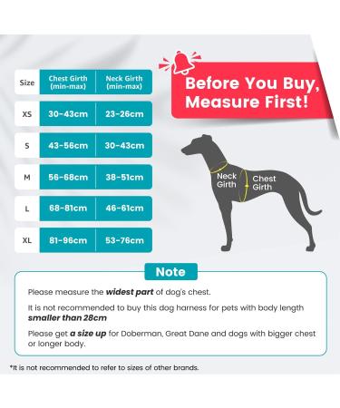 Buy Pawaii XL Dog Harness - Anti-Pull Reflective & Adjustable Breathable Harness for Large Dogs | Teal Green (81cm-96cm) - Buy Online on GoSupps.com