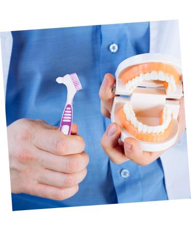 Buy Bcoath 2-Piece Dual-Sided Cleaning Brush for Prostheses & Braces | Best Toothbrush for Effective Cleaning - Buy Online on GoSupps.com