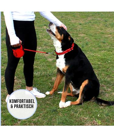 High-Quality 5m Roll-Out Dog Leash for Large Dogs up to 50kg | Comfortable Soft Handle & Reflective Belt | Durable Blue with Break & Lock System - Buy Online on GoSupps.com
