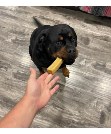 Himalayan Yak Cheese Dog Chew - Himalayan Dog Chew - Cheese Bones for Dogs - Dog Chew- Cheese Bone - Long Lasting Dog Treats for Aggressive Chewers - Keeps Dogs Busy - Sherpa Chew - *(Large 4 Pack)* 1 count (Pack of 4) - Buy Online on GoSupps.com