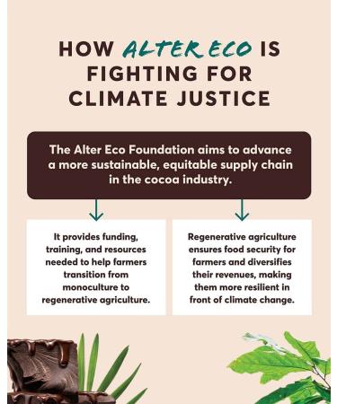 Alter Eco Organic Deep Dark Salted Brown Butter Chocolate Bar - 70% Cocoa, 2.82 oz - Buy Online on GoSupps.com