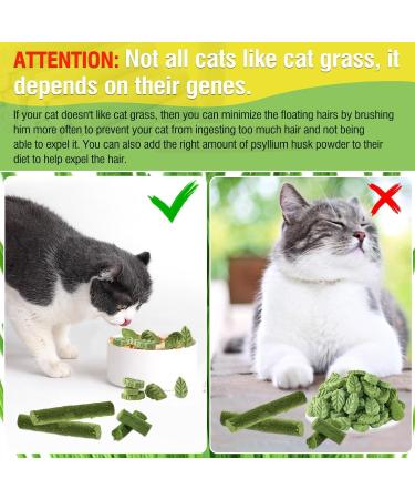100g Cat Grass Treats Cat Grass Teething Stick for Hairball Remove and Teeth Cleaning Edible Cat Grass Stick Snack - Buy Online on GoSupps.com