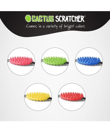 Original Cactus Back Scratchers - Aggressive & Moderate Two-Sided Design | Perfect Travel Gift for Men & Women | Shop Internationally - Buy Online on GoSupps.com