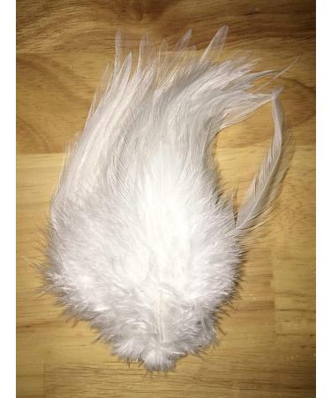 Creative Angler Saddle Hackle Fly Tying Kit - Natural Rooster Feathers for Crafts and Wet Flies - Steelhead Colored Feathers Combo Pack - Buy Online on GoSupps.com