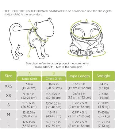 Buy Bella & Pal Dog Harness for Small Dogs - Air Mesh Reflective Leash & Dishes - Perfect Fit (42-50cm) - Avocado Green - Buy Online on GoSupps.com