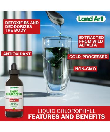 Extra Strength Mint Flavored Liquid Chlorophyll Drops | Cold Extracted from Wild Non-GMO Alfalfa | Detox & Alkaline | Natural Body Deodorant | Antioxidant | 3.38 fl oz - Buy Online on GoSupps.com