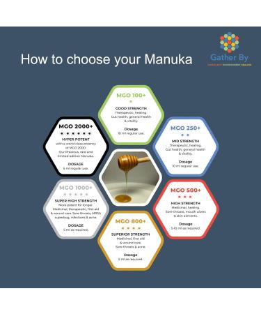 GATHER BY: Manuka Honey - 100% Pure Raw Australian Manuka Honey Medical Grade - 18 Month Matured Potent & Coarse Filtered - High MGO Levels - Pure Honey - Natural Honey (MGO100+ 250g) MGO100+ 250 g (Pack of 1) - Buy Online on GoSupps.com