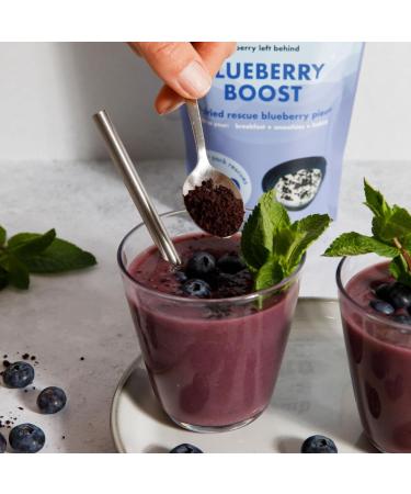 Squished Blueberry Boost | 2 x 150g | Air-Dried Pieces | Nutrient-Rich Ingredients for Breakfast & Baking | Gluten-Free | Resealable Bags - Buy Online on GoSupps.com