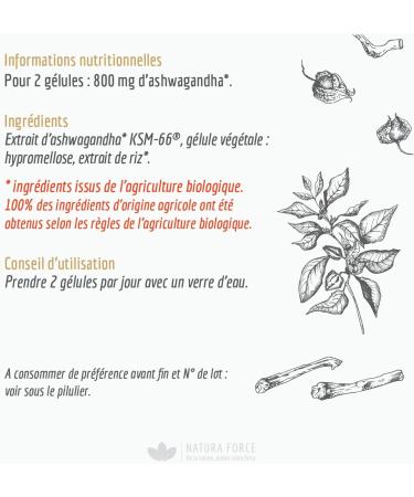 Ashwagandha Organic KSM-66 Vegetable Capsules - Improves Sleep Quality Helps Reduce Stress and Anxiety - Pure Ashwagandha Root Extract - 90 Capsules - Buy Online on GoSupps.com