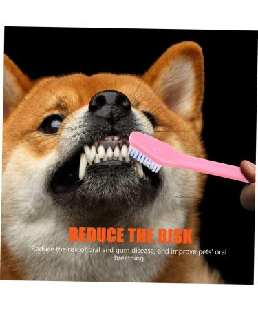 BESPORTBLE 16 Pcs Double Head Dog Toothbrush Pet Toothpaste Toothbrush for Dogs Small Dog Toothbrush Pp - Buy Online on GoSupps.com