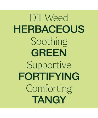 Plant Therapy Dill Weed Essential Oil 10 mL (1/3 oz) 100% Pure Undiluted Therapeutic Grade 0.34 Fl Oz (Pack of 1) - Buy Online on GoSupps.com