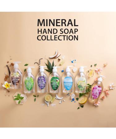 Dead Sea Collection Almond Vanilla Hand Soap - Pack of 3 - 12 Fl. Oz. Each - Gentle Liquid Hand Soap for All Skin Types - Buy Online on GoSupps.com