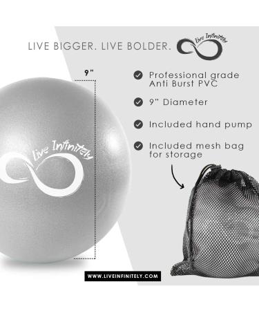 Live Infinitely 9 Barre Pilates Ball Set | Anti-Burst Mini Ball with Hand Pump | Yoga & Exercise eBook Included | Silver | Mesh Carrying Bag - Buy Online on GoSupps.com