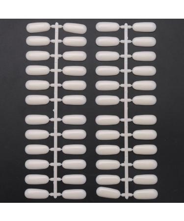 Gsrimgratoe Round Head Nail Piece Nail Color Card Solid Bottom Nail Piece Nail Display Card Color Background Flat Sample Redondo - Buy Online on GoSupps.com