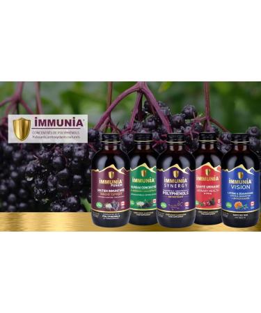 Immunia Synergy Elderberry Supplement for Immune Support - Antioxidant Rich Blend with Canadian Elderberries - Buy Online on GoSupps.com