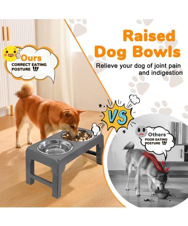 URPOWER Elevated Dog Bowls | Height Adjustable Raised Stand with 2 Stainless Steel Bowls | Non-Slip Stand for Small Medium Large Dogs and Pets | Grey - Buy Online on GoSupps.com