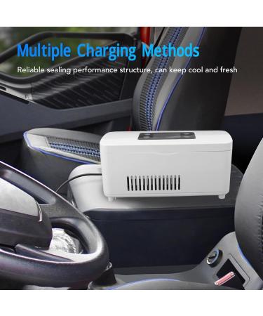 Insulin Cooler Refrigerated Box Insulin Freezer Car Refrigerator Small Vehicle Cooler Fridge Automobile Insulin Refrigerated Box Refrigerator Cooler Car Fridge Beverage (Black US White US Plug 100 to 240V - Buy Online on GoSupps.com