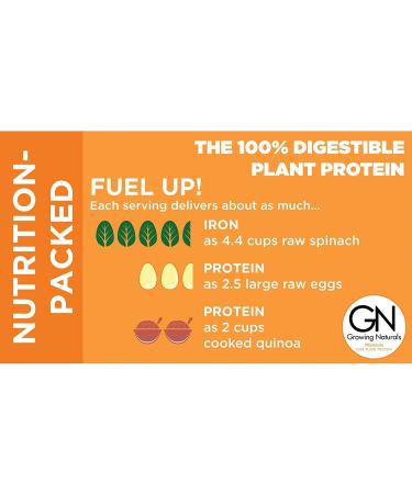 Growing Naturals Organic Premium Plant Based Protein Powder - Original Pure Rice Protein | Non-GMO, Vegan, Gluten-Free, Keto Friendly, Shelf-Stable | 1 lb (Pack of 1) - Buy Online on GoSupps.com