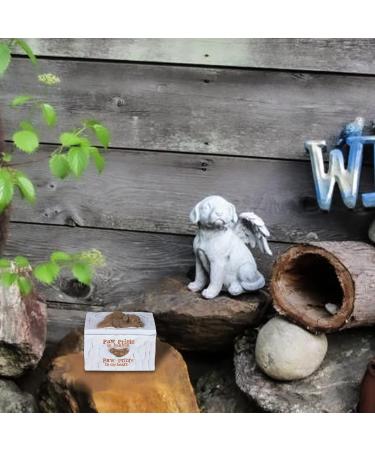 ACTLATI Engraved Resin Pet Urn for Dogs Ashes - Hand-Crafted Cremation Memorial Keepsake Box - Buy Online on GoSupps.com