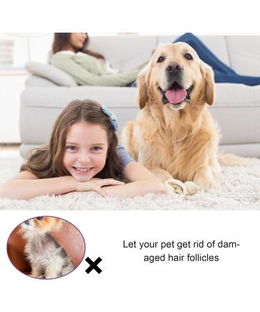 Cat Detangler Spray for Matted Hair Leave In Hair Conditioner Spray Pet Supplies for Dogs Cats Matted Hair Encourages Hair Regrowth (30ml) Shareed - Buy Online on GoSupps.com