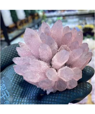 Natural Crystal Rough Crystal Cluster Natural Rose Crystal Cluster Flower Gem Gift Room Office Decor Gift (Size : 300-350g) - Buy Online on GoSupps.com