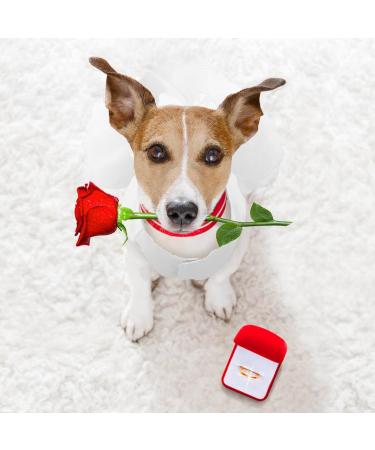 Luxury White Dog Wedding Dress - Elegant Summer Puppy Skirt with Bowknot for Little Girl Dogs - Evening Dress for Small Breeds - Buy Online on GoSupps.com