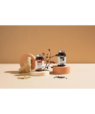  Pharmovit Pharmovit Herballine Borellvit Immune System Support 60 Capsules (60 Servings) - Buy Online on GoSupps.com