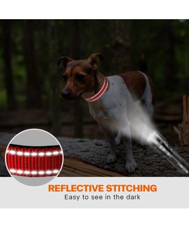 Taglory Soft Padded Neoprene Dog Collar for Small Dogs - Adjustable & Reflective - Red (1 Pack) | Best for Training & Comfort - Buy Online on GoSupps.com