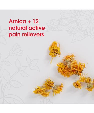 MediNatura T-Relief Pet Arthritis Relief - Arnica +12, 90 Tablets for Pain Relief - Buy Online on GoSupps.com