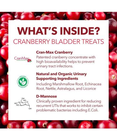 PETPAL Urinary Bladder Treats for Dogs - UTI Cranberry Support Urinary Health Antioxidant for Kidney and Bladder - Made with Cran-Max Cranberry D-Mannose Organic Marshmallow - 90 Ct. - Buy Online on GoSupps.com