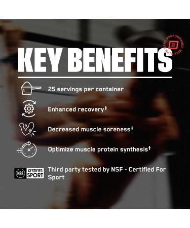 BARE PERFORMANCE NUTRITION BPN G.1.M Sport Fruit Punch 25 Servings + Recover Post-Workout Muscle Recovery Drink Mix Fruit Punch 25 Servings | Endurance Fuel + Recovery Bundle - Buy Online on GoSupps.com