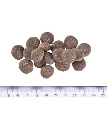 BRIT Care Hypoallergenic Salmon & Herring for Adult Dogs Dry Dog Food 12kg - Buy Online on GoSupps.com