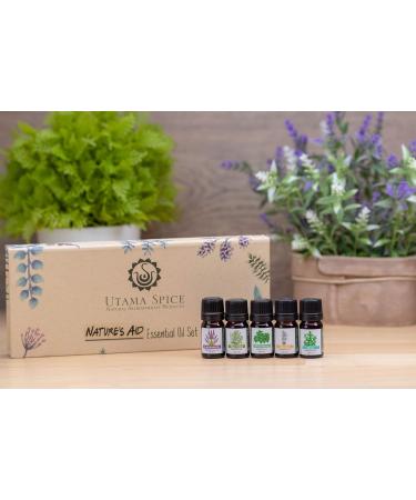 Buy Nature's Aid Essential Oil Set - Premium Quality Aromatherapy for Wellness & Relaxation | Fast International Shipping - Buy Online on GoSupps.com