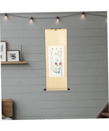 Healeeved Party Plate - Sage Asian Wall Art Body Meridian Diagram - 85x36cm Silk Scroll in Chinese Style - Buy Online on GoSupps.com