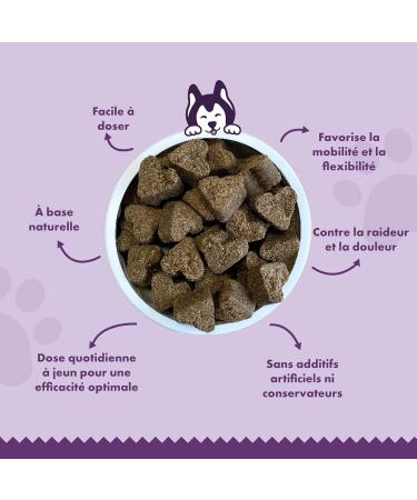 Woofies HIPS & Joint Hip and Joint Supplement for Dogs Glucosamine Boswellia Serrata Chondroitin MSM and Omega-3 Mobility Flexibility and Pain Relief 270 Natural Snacks - Buy Online on GoSupps.com