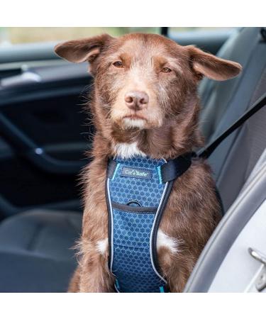 CarSafe Crash Tested Dog Safety Harness by Halti | Safely Secure Dogs up to 32Kg/70lbs | Comfortable Padded Design for Dogs of all Sizes - Buy Online on GoSupps.com