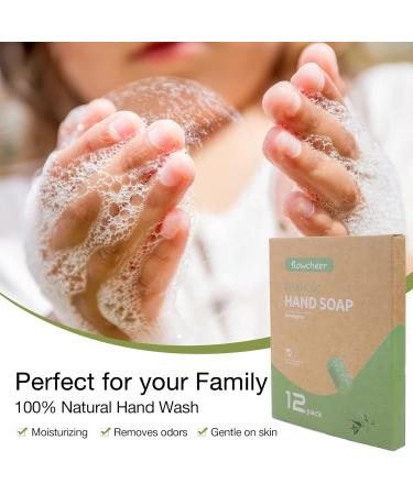 12 Pack Foaming Hand Soap Tablet Refills | Zero Waste, Eco-Friendly & Eucalyptus Scented | Makes 12x 8 fl oz Bottles - Shop Now! - Buy Online on GoSupps.com