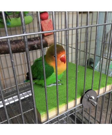 KINTOR 7-inch Green Bird Perch Stand for Small Medium Birds and Small Animals - Buy Online on GoSupps.com