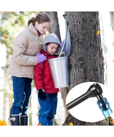 Maple Syrup Tapping Kit 6PCS Maple Syrup Taps and Tube Maple Syrup Supplies for Home Maple Syrup Making - Buy Online on GoSupps.com